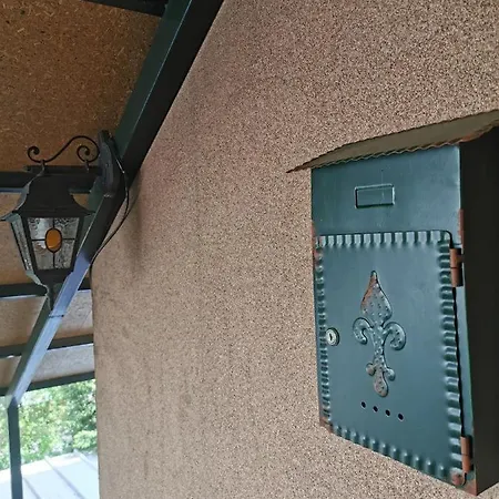 Swiss 苏曼